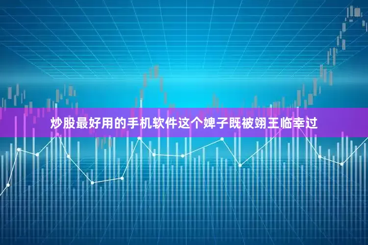 炒股最好用的手机软件这个婢子既被翊王临幸过