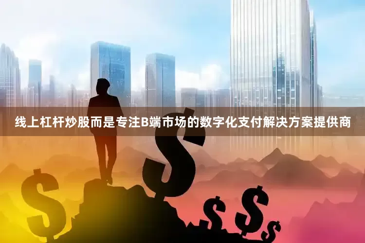 线上杠杆炒股而是专注B端市场的数字化支付解决方案提供商