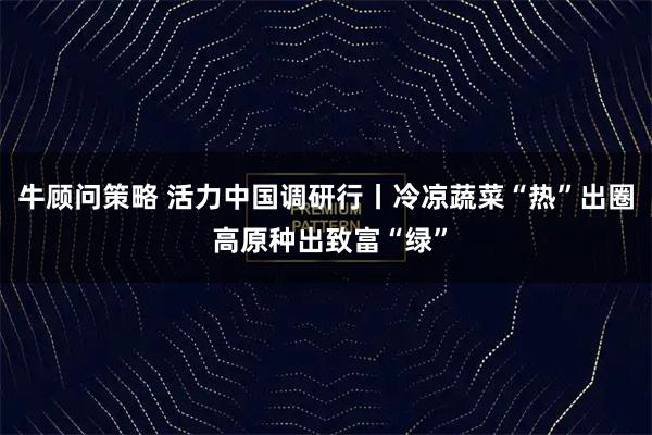牛顾问策略 活力中国调研行丨冷凉蔬菜“热”出圈 高原种出致富“绿”