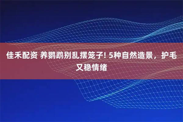 佳禾配资 养鹦鹉别乱摆笼子! 5种自然造景，护毛又稳情绪
