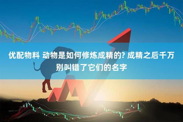 优配物料 动物是如何修炼成精的? 成精之后千万别叫错了它们的名字