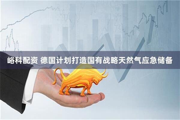 峪科配资 德国计划打造国有战略天然气应急储备